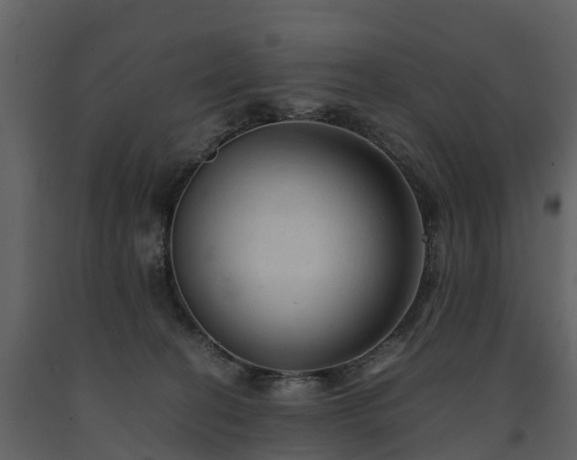 X0000091650274200708231228