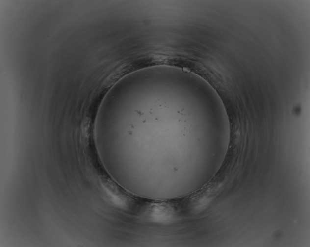 X0000091650275200708231228