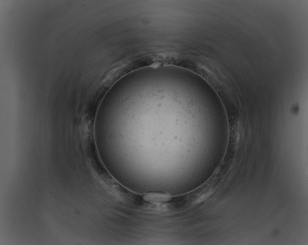X0000091650276200708231228