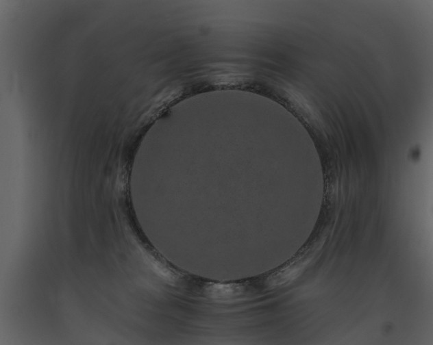 X0000091650277200708231228