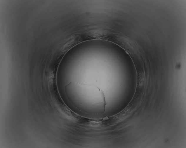 X0000091650279200708231228