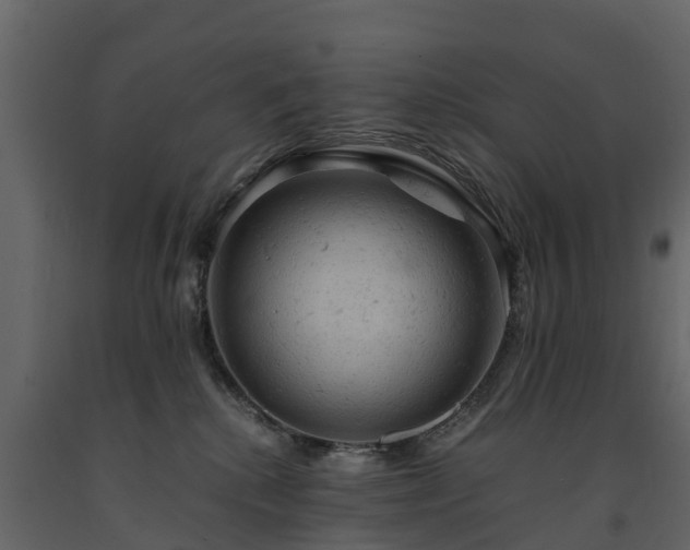 X0000091650280200708231228