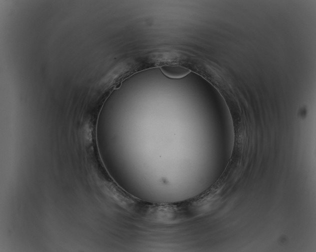 X0000091650282200708231228