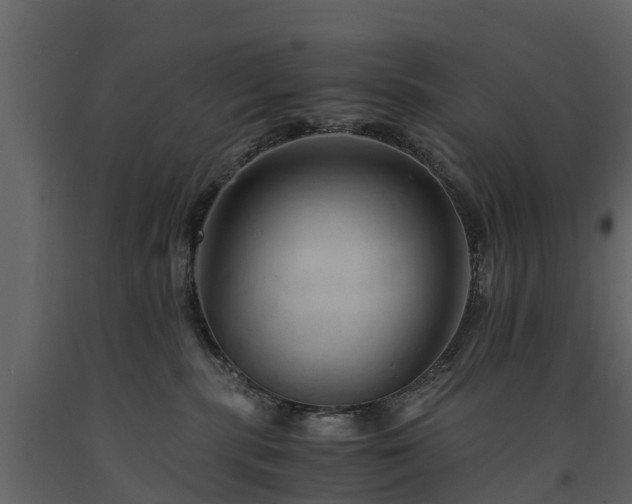 X0000091650283200708231228