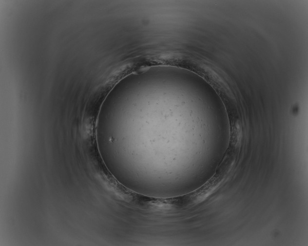 X0000091650284200708231228
