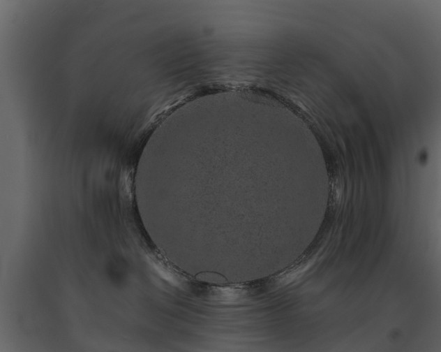 X0000091650286200708231228
