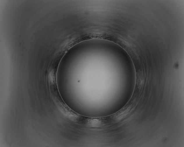 X0000091650287200708231228