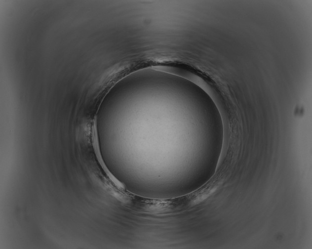 X0000091650288200708231228