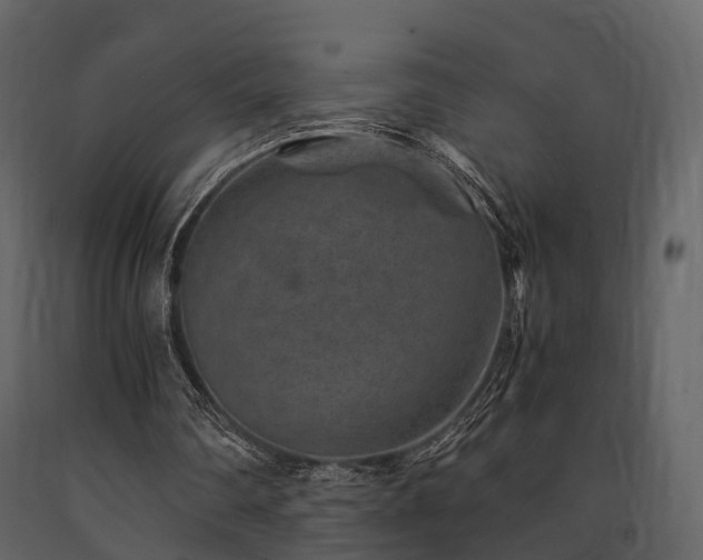 X0000091650290200708231227