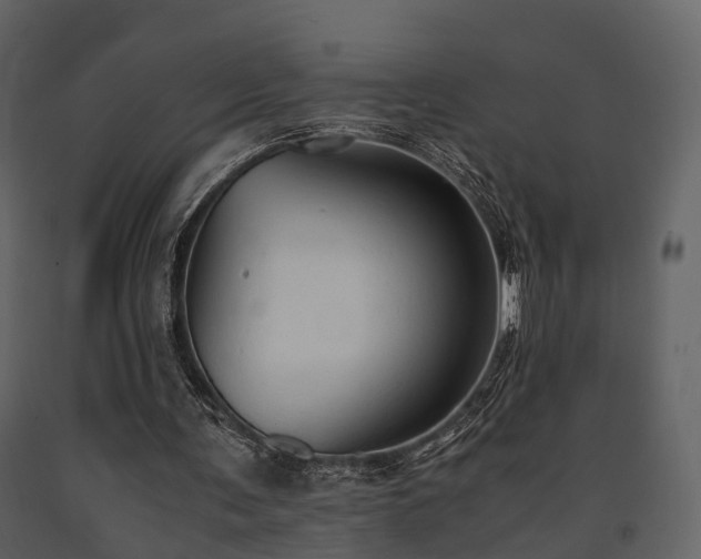 X0000091650291200708231227