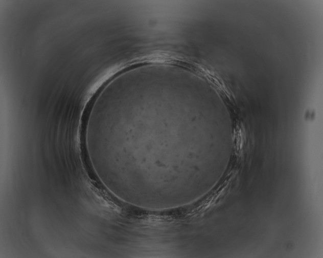 X0000091650292200708231227