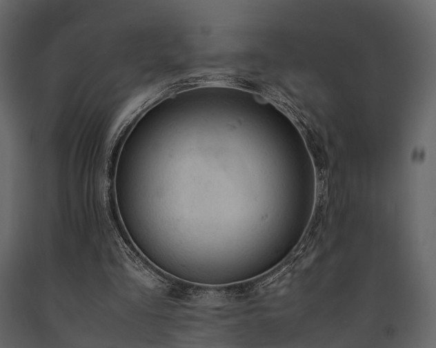 X0000091650293200708231227