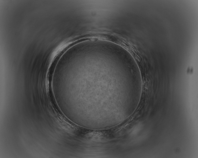 X0000091650294200708231227