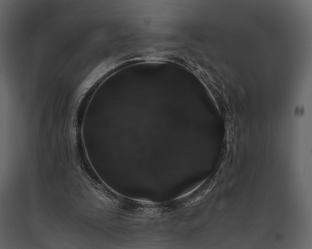 X0000091650295200708231227