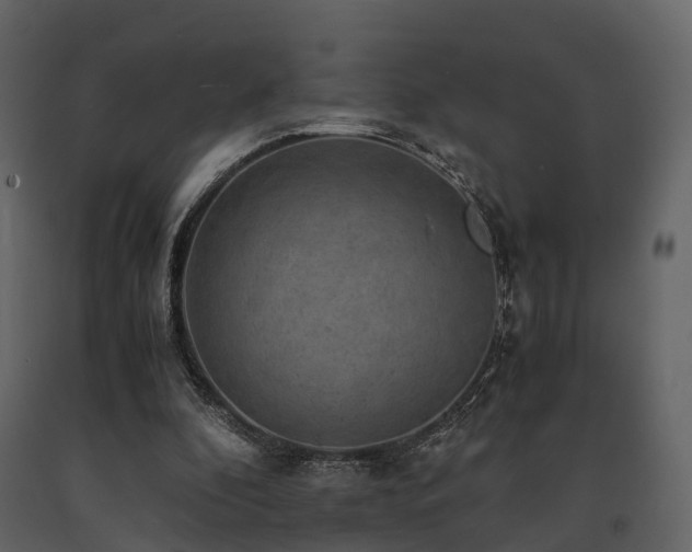 X0000091650296200708231227
