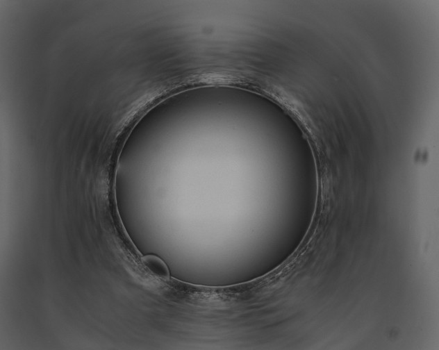 X0000091650297200708231227