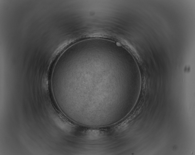 X0000091650298200708231227