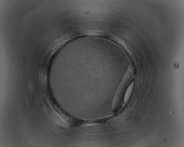 X0000091650299200708231227
