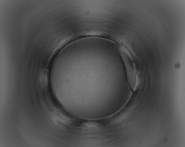 X0000091650300200708231227