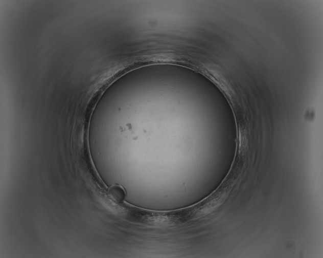 X0000091650301200708231227