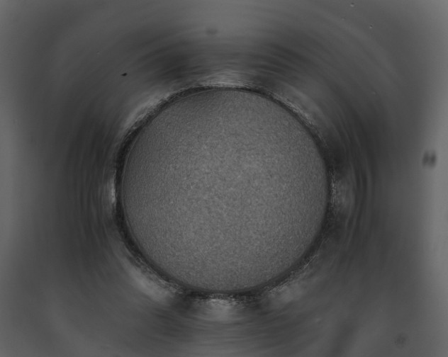 X0000091650302200708231227