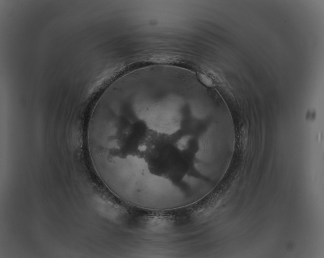 X0000091650303200708231227