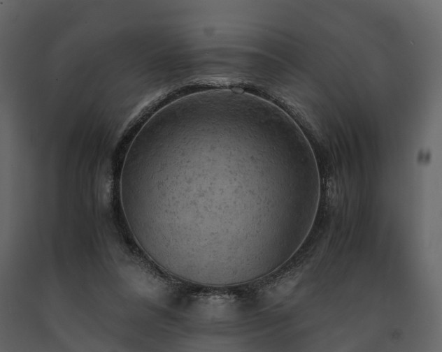 X0000091650304200708231227