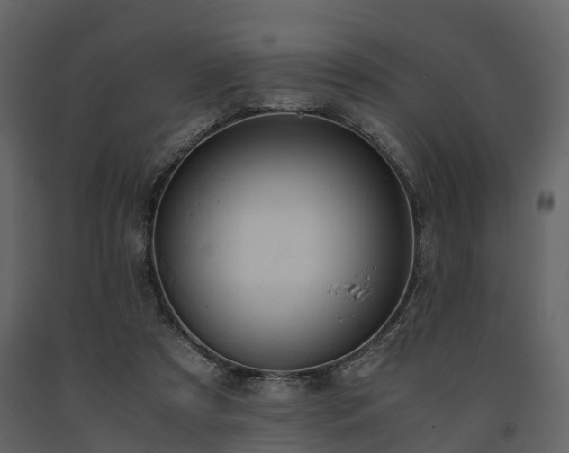 X0000091650305200708231227