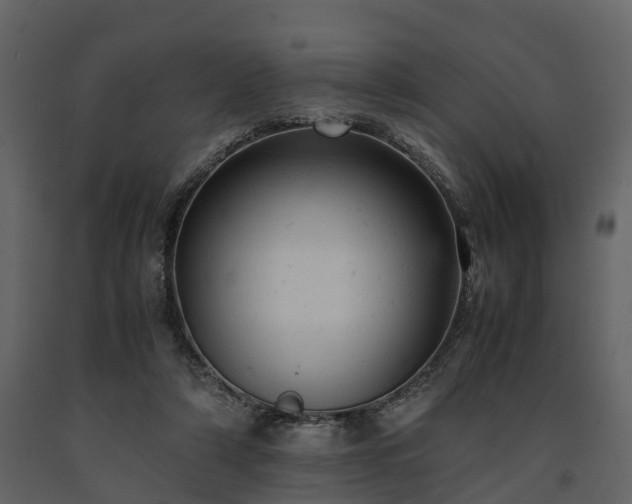X0000091650306200708231227