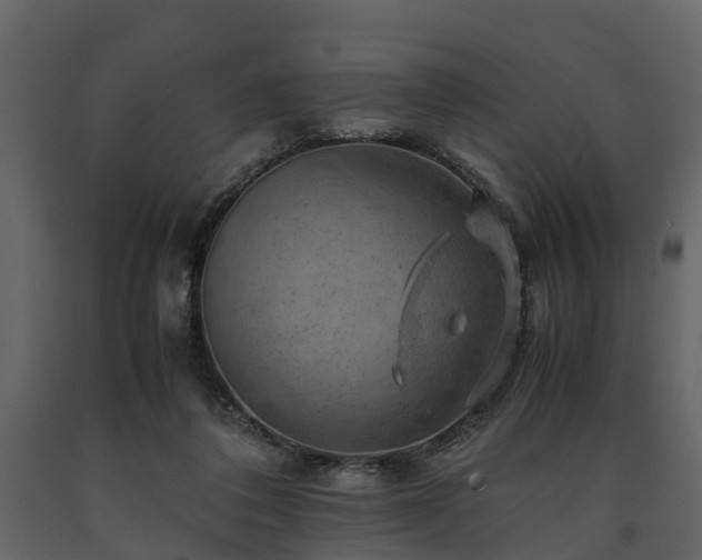 X0000091650308200708231227