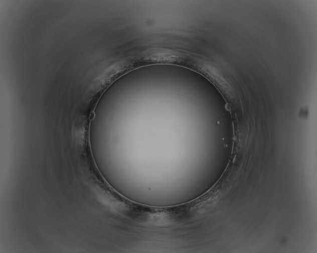 X0000091650309200708231227