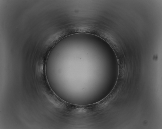 X0000091650310200708231227