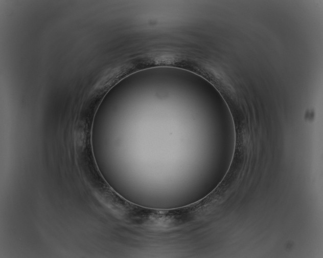 X0000091650311200708231227