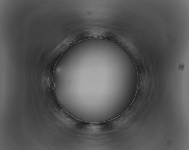 X0000091650313200708231227