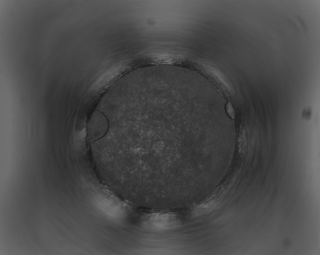 X0000091650314200708231227