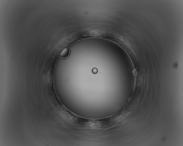 X0000091650317200708231227