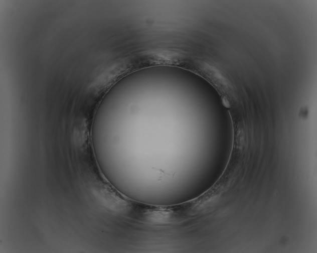 X0000091650318200708231227