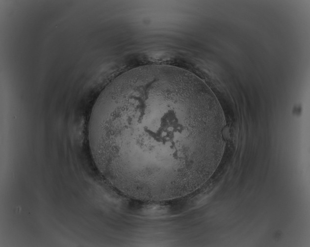 X0000091650319200708231227