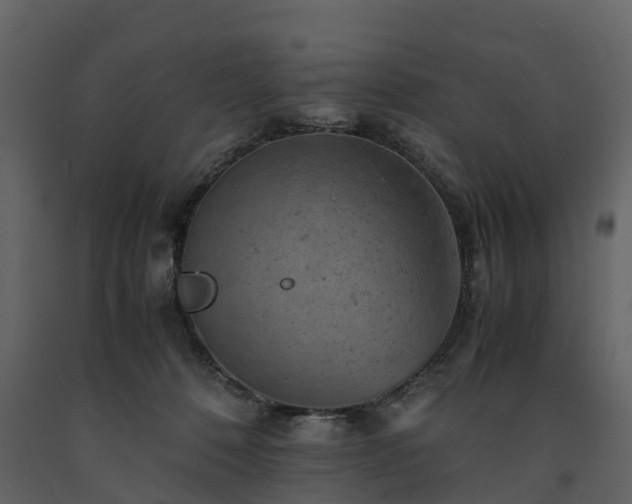 X0000091650320200708231227