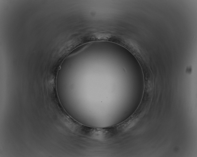 X0000091650321200708231227
