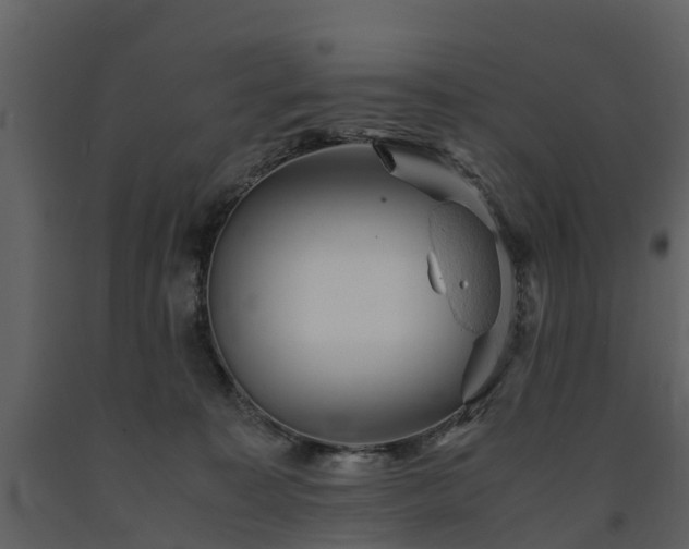 X0000091650323200708231227
