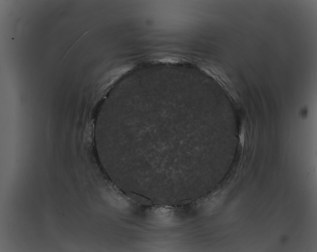 X0000091650325200708231227