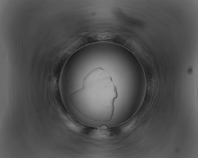 X0000091650327200708231227