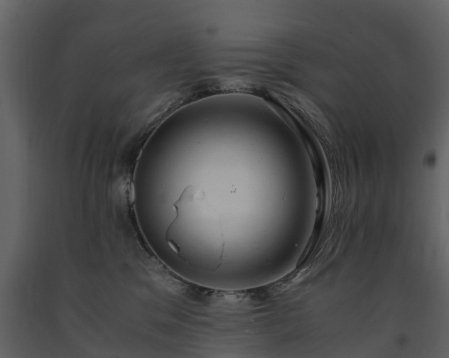 X0000091650329200708231227
