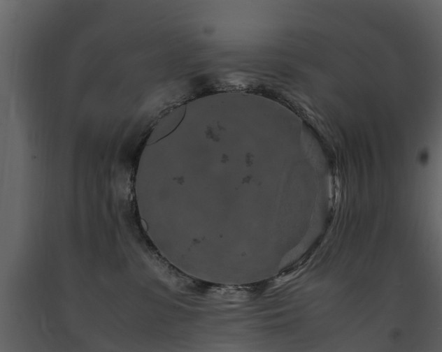 X0000091650331200708231227