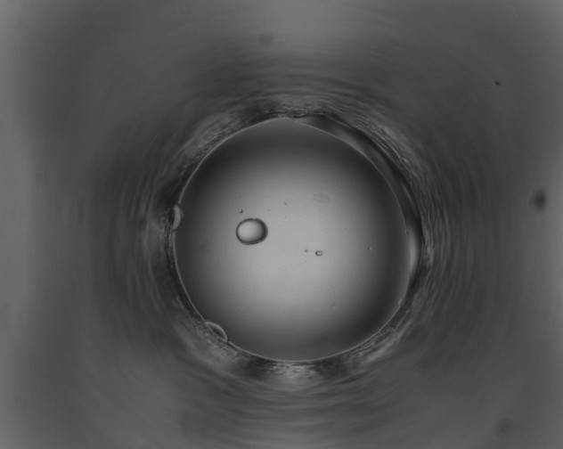 X0000091650333200708231227