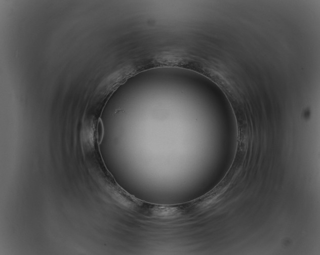 X0000091650334200708231227