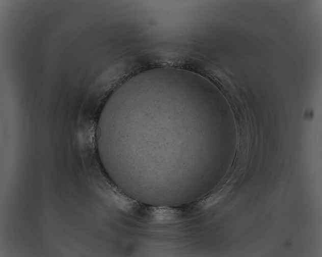 X0000091650336200708231227