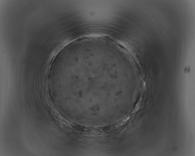 X0000091650337200708231226