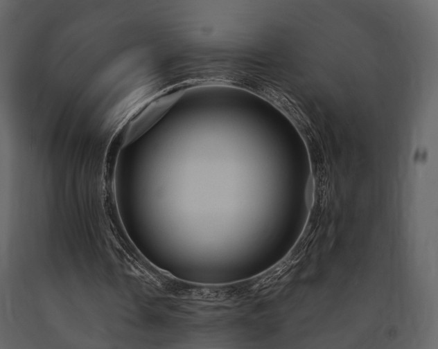 X0000091650338200708231226